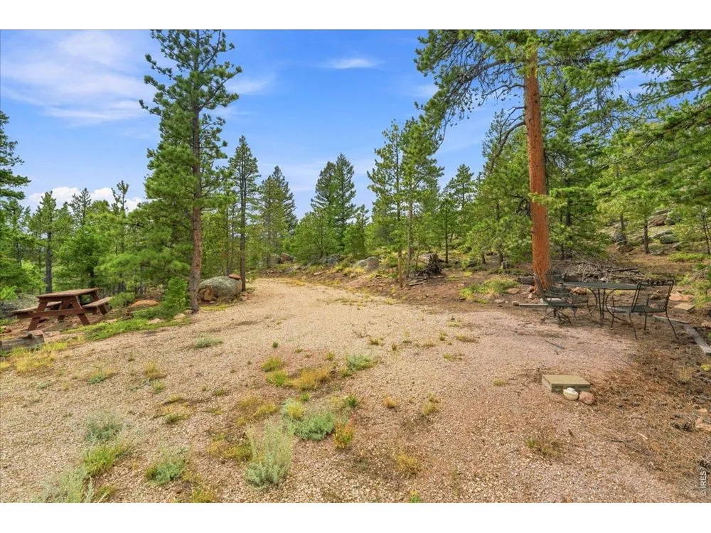 78 Wenro Court Red Feather Lakes, CO 80545