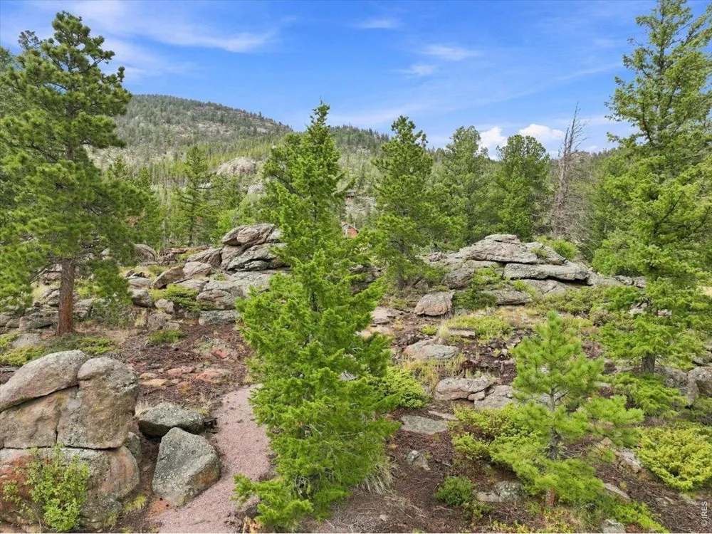 78 Wenro Court Red Feather Lakes, CO 80545