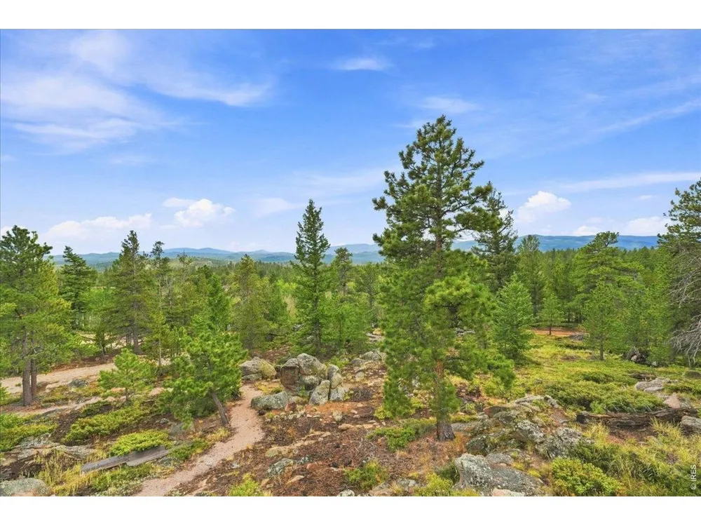 78 Wenro Court Red Feather Lakes, CO 80545