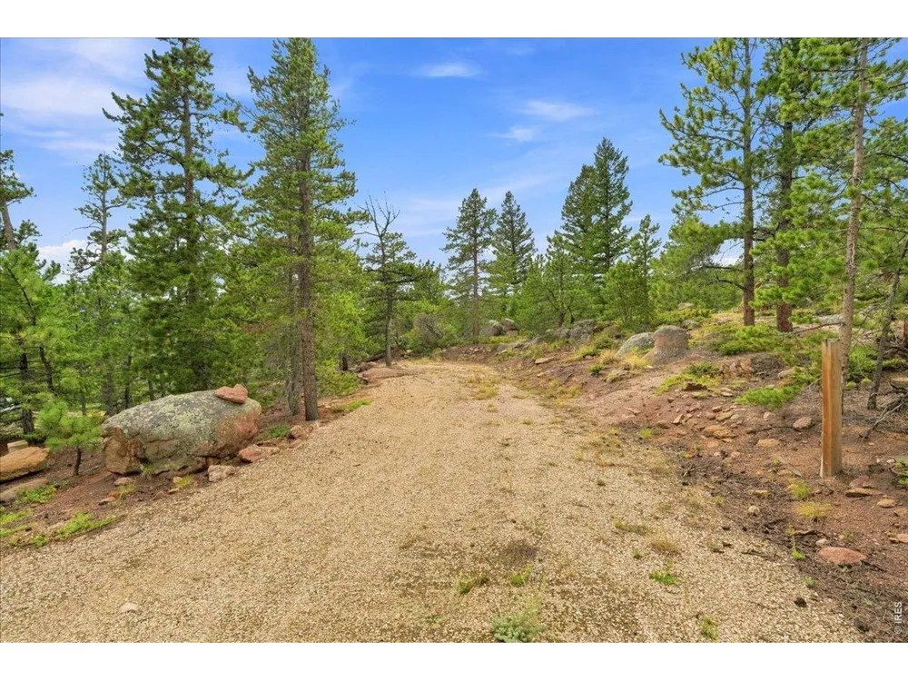 78 Wenro Court Red Feather Lakes, CO 80545