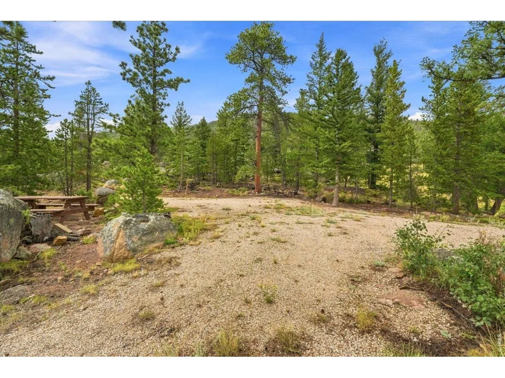 78 Wenro Court Red Feather Lakes, CO 80545