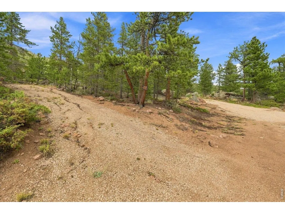 78 Wenro Court Red Feather Lakes, CO 80545