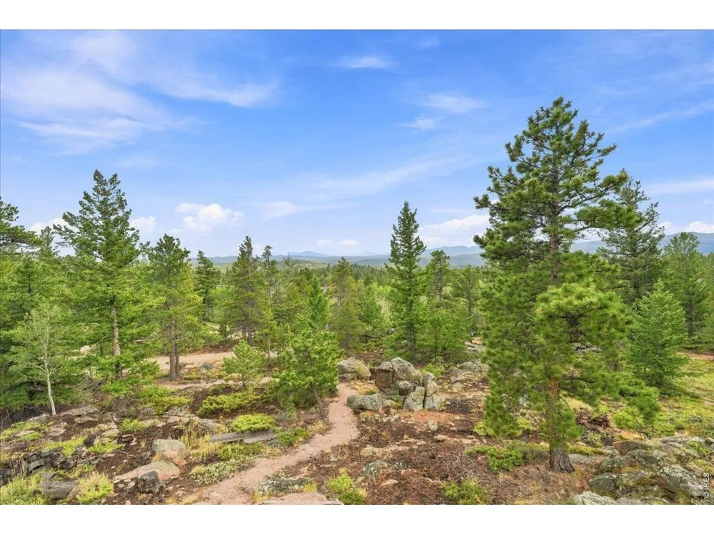 78 Wenro Court Red Feather Lakes, CO 80545