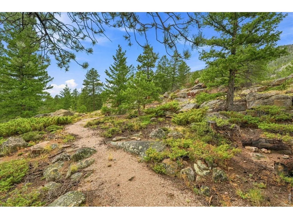 78 Wenro Court Red Feather Lakes, CO 80545