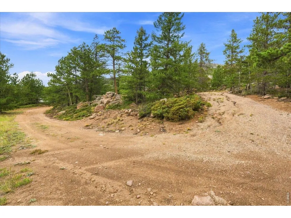 78 Wenro Court Red Feather Lakes, CO 80545