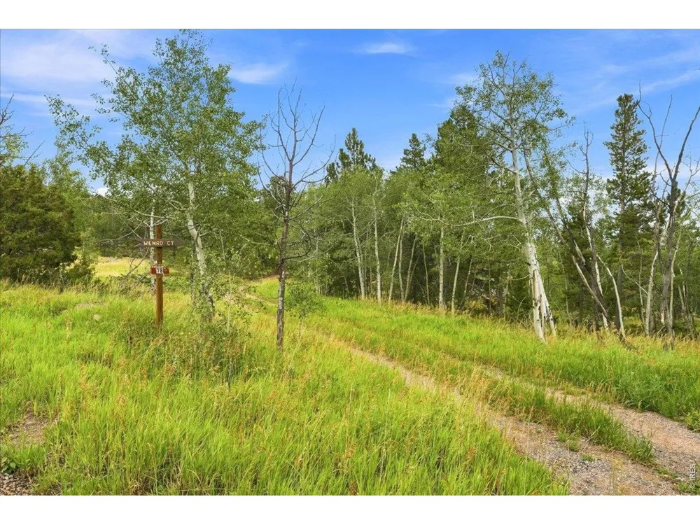 78 Wenro Court Red Feather Lakes, CO 80545