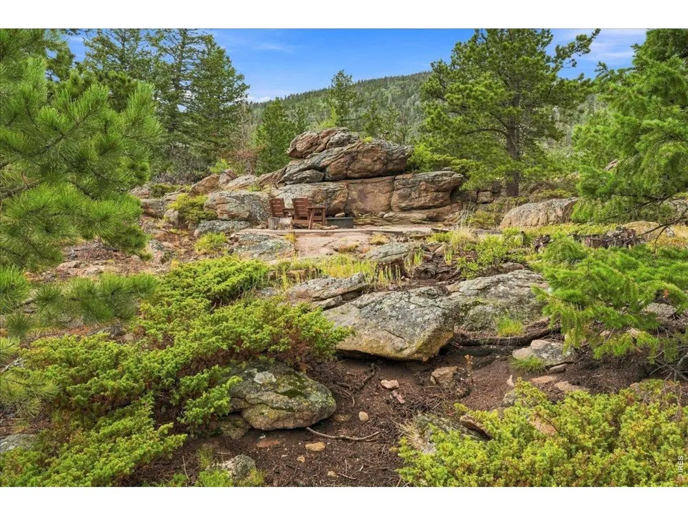 78 Wenro Court Red Feather Lakes, CO 80545