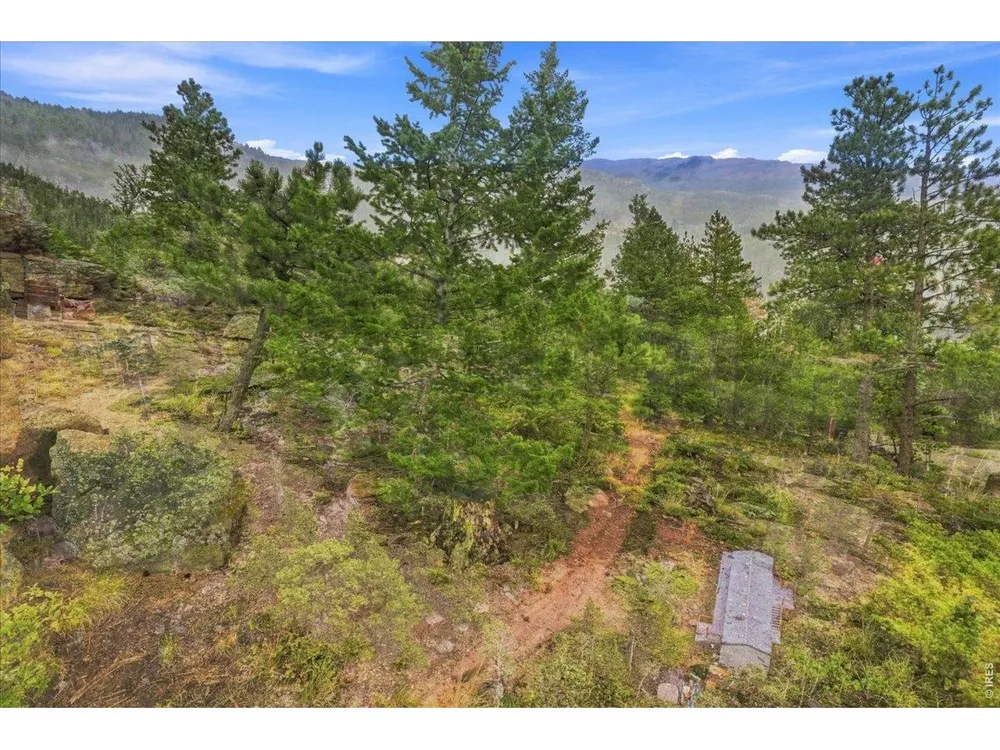 78 Wenro Court Red Feather Lakes, CO 80545