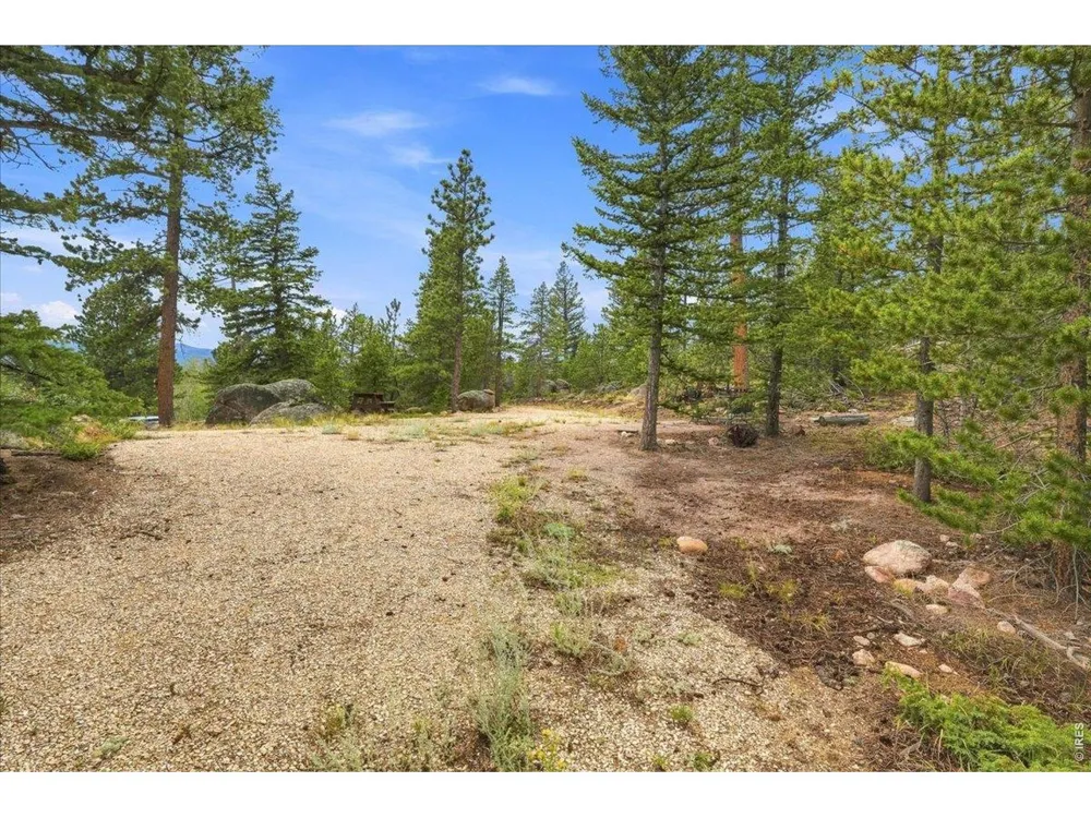 78 Wenro Court Red Feather Lakes, CO 80545