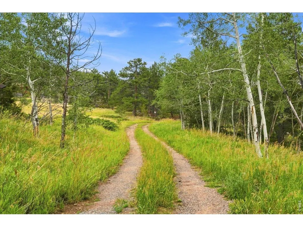 78 Wenro Court Red Feather Lakes, CO 80545