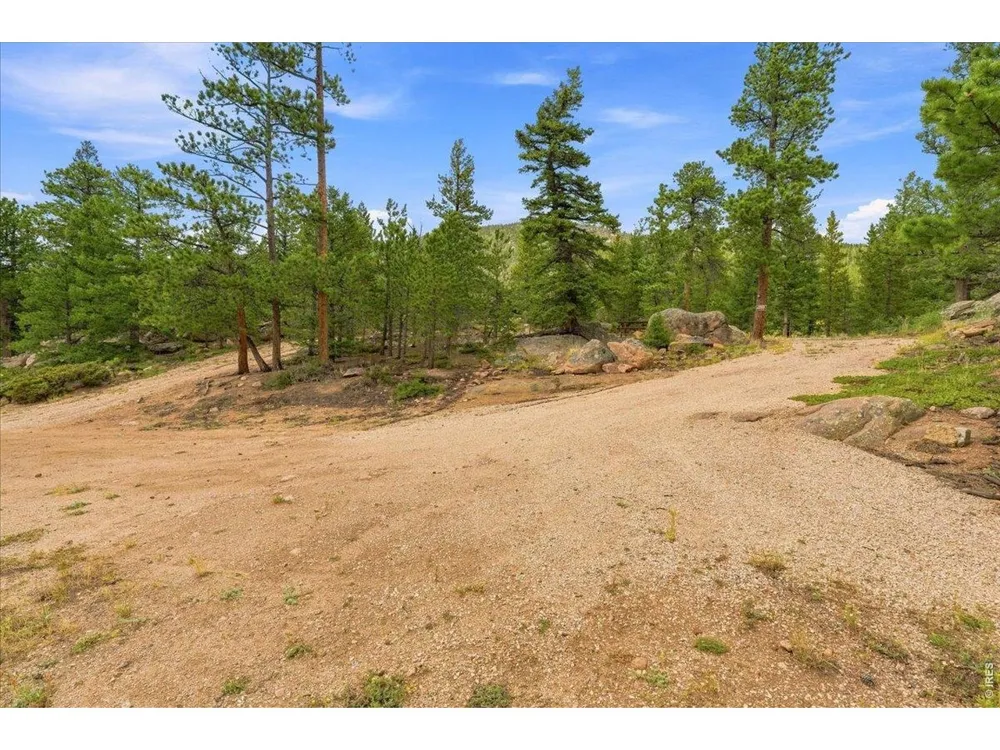 78 Wenro Court Red Feather Lakes, CO 80545