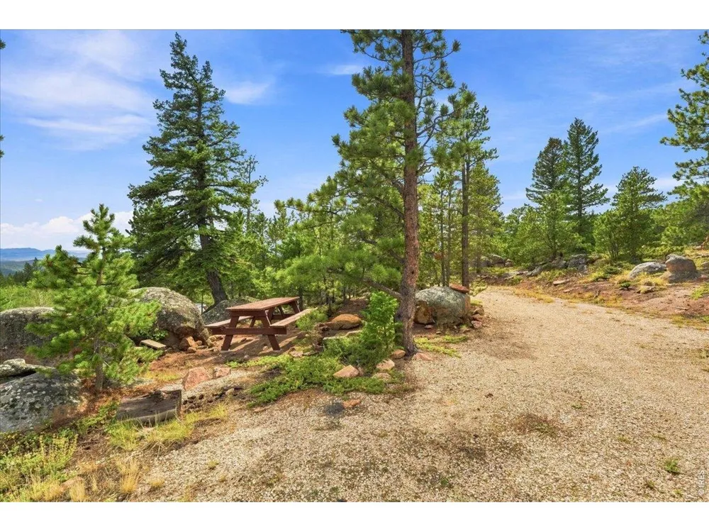 78 Wenro Court Red Feather Lakes, CO 80545