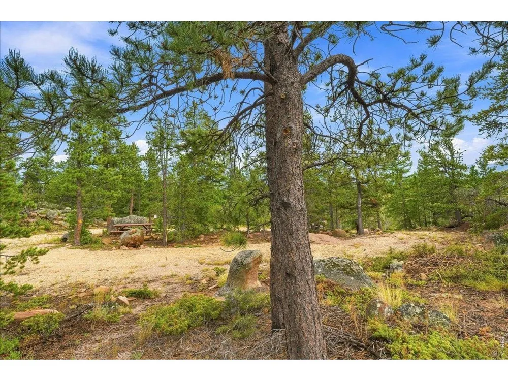 78 Wenro Court Red Feather Lakes, CO 80545