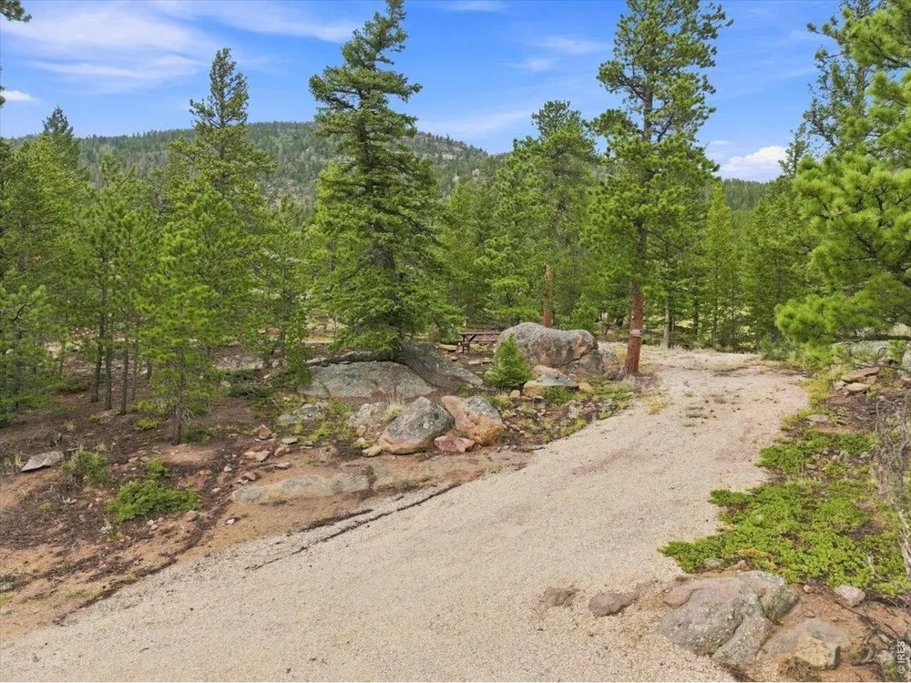 78 Wenro Court Red Feather Lakes, CO 80545