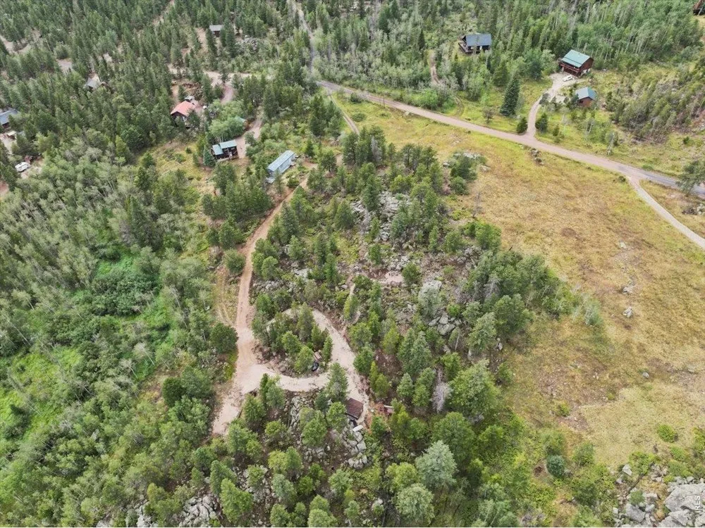 78 Wenro Court Red Feather Lakes, CO 80545