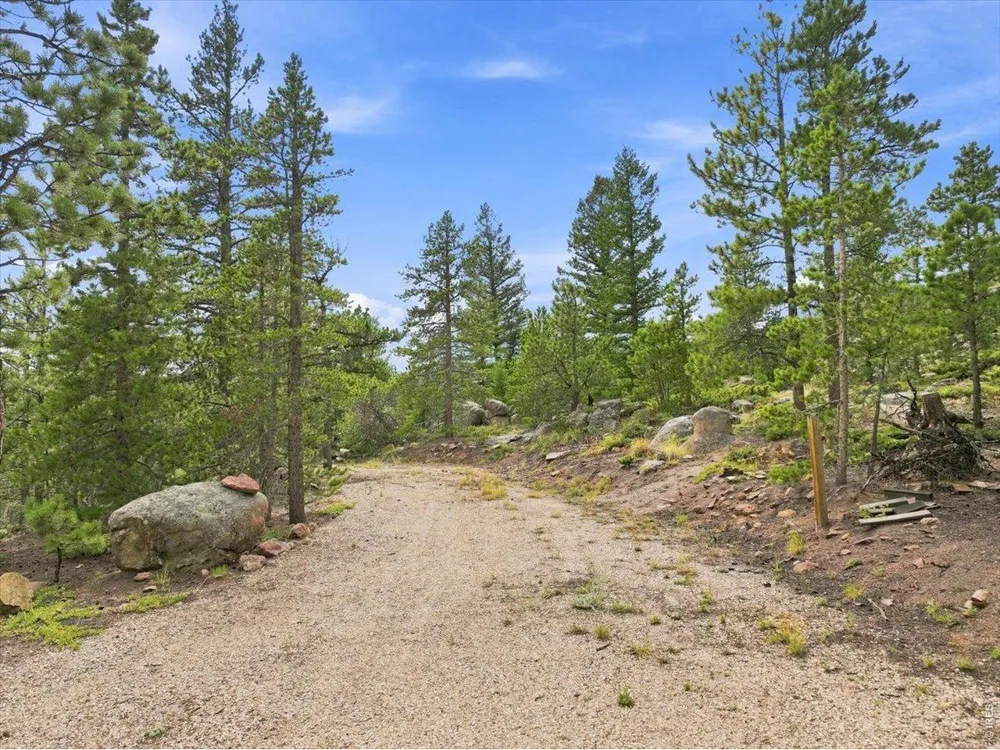 78 Wenro Court Red Feather Lakes, CO 80545
