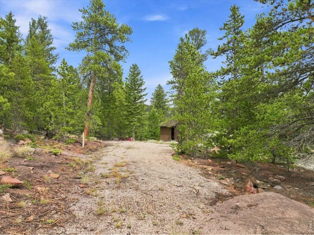 78 Wenro Court Red Feather Lakes, CO 80545