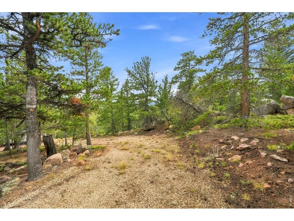 78 Wenro Court Red Feather Lakes, CO 80545