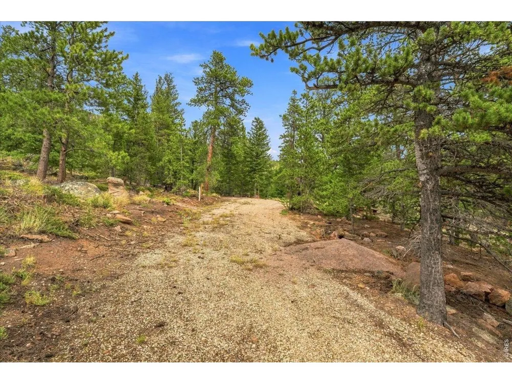 78 Wenro Court Red Feather Lakes, CO 80545