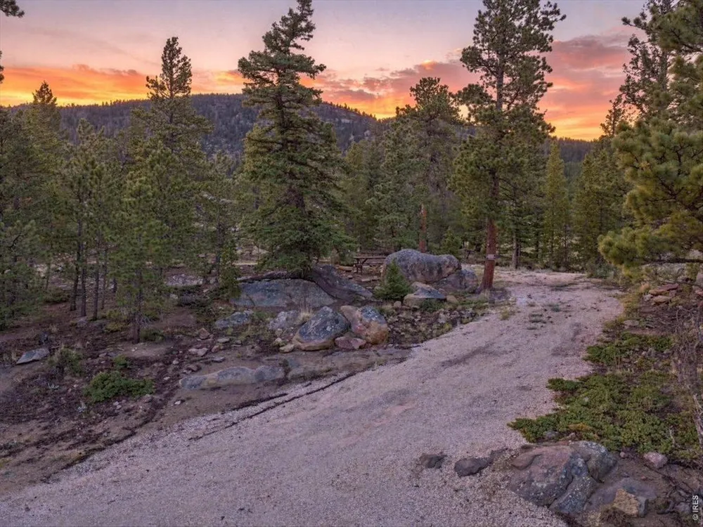 78 Wenro Court Red Feather Lakes, CO 80545