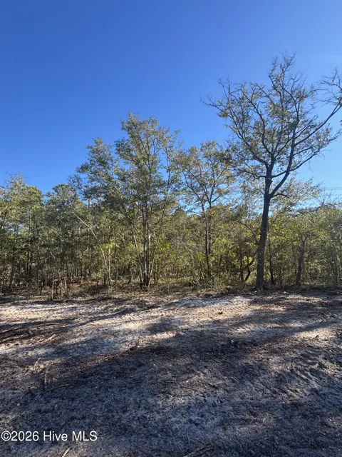 Lot 121 Coral Gull Street