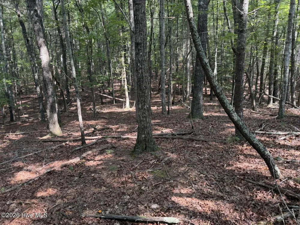 919 Panther Top Road Murphy, NC 28906