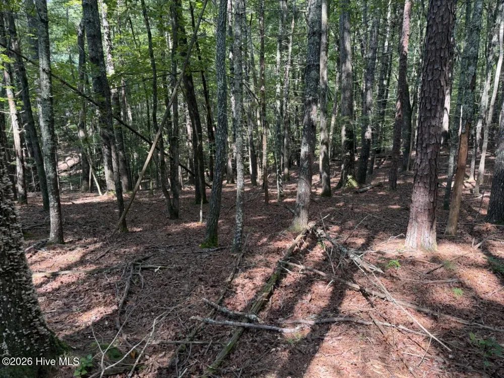 919 Panther Top Road Murphy, NC 28906