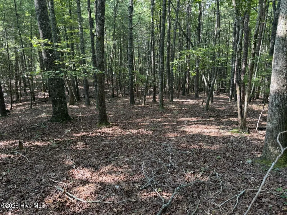919 Panther Top Road Murphy, NC 28906
