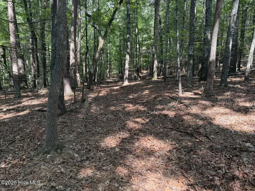 919 Panther Top Road Murphy, NC 28906