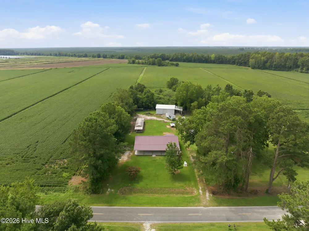 1971 Raccoon Road Willard, NC 28478