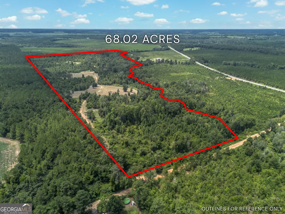 0 Nicholson-Carr RD Chester, GA 31012