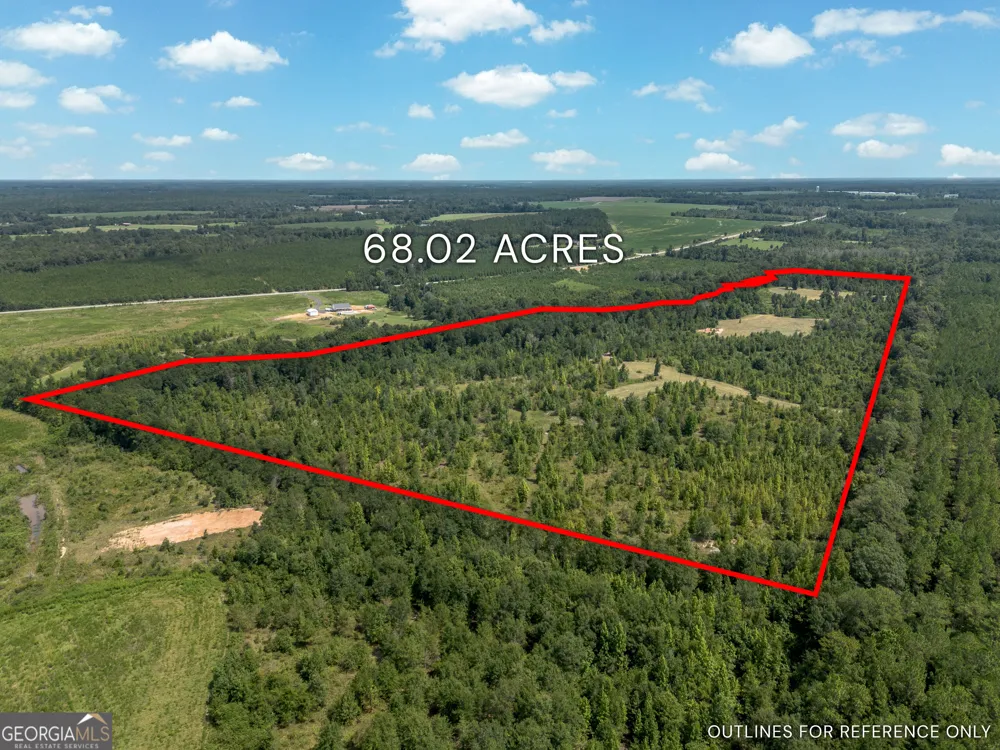 0 Nicholson-Carr RD Chester, GA 31012