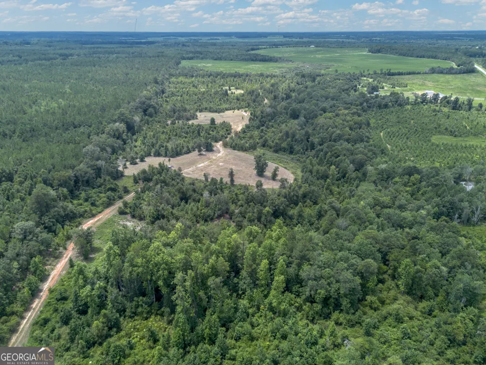 0 Nicholson-Carr RD Chester, GA 31012
