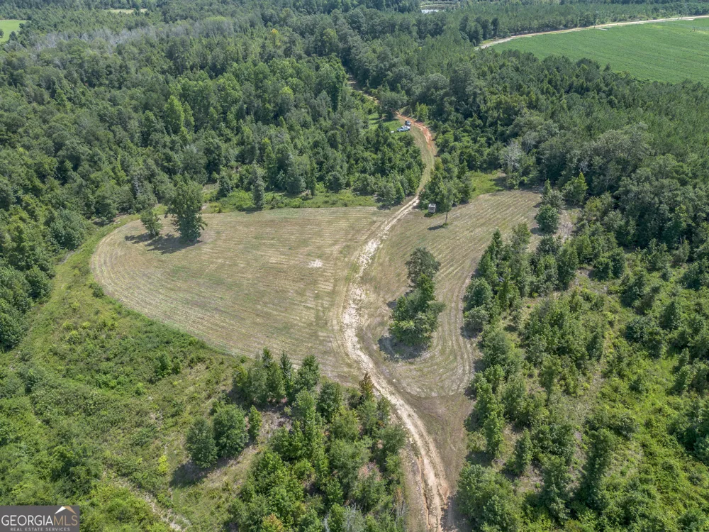 0 Nicholson-Carr RD Chester, GA 31012
