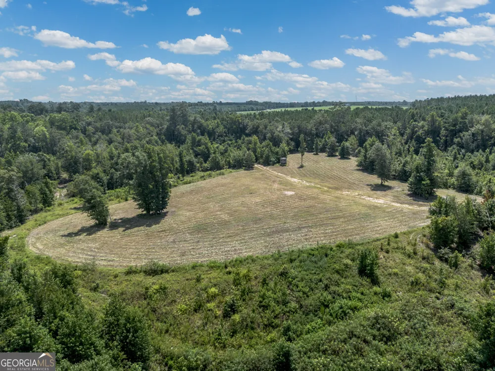 0 Nicholson-Carr RD Chester, GA 31012