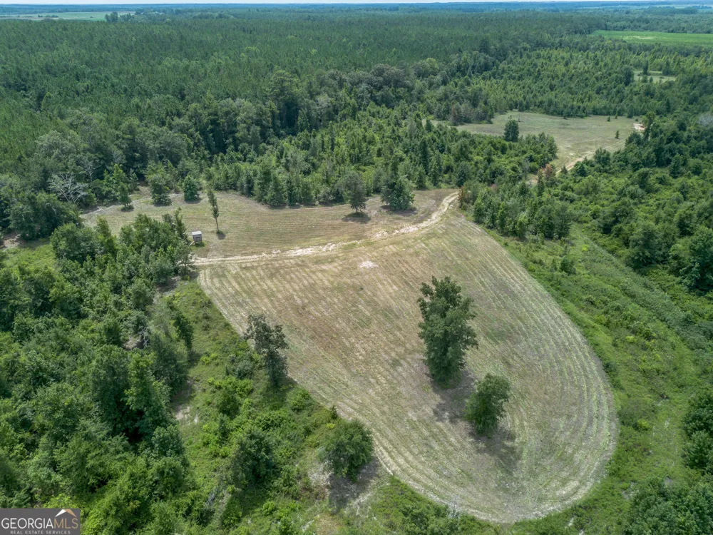 0 Nicholson-Carr RD Chester, GA 31012