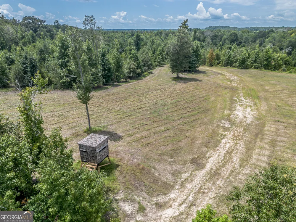 0 Nicholson-Carr RD Chester, GA 31012