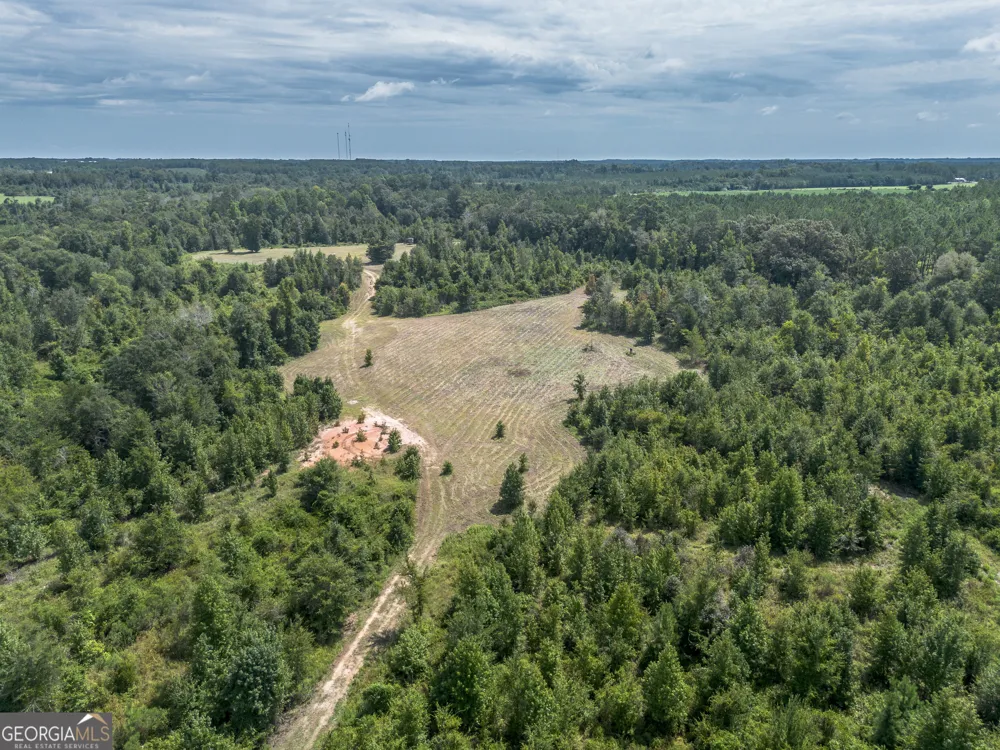 0 Nicholson-Carr RD Chester, GA 31012