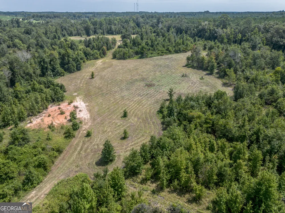 0 Nicholson-Carr RD Chester, GA 31012