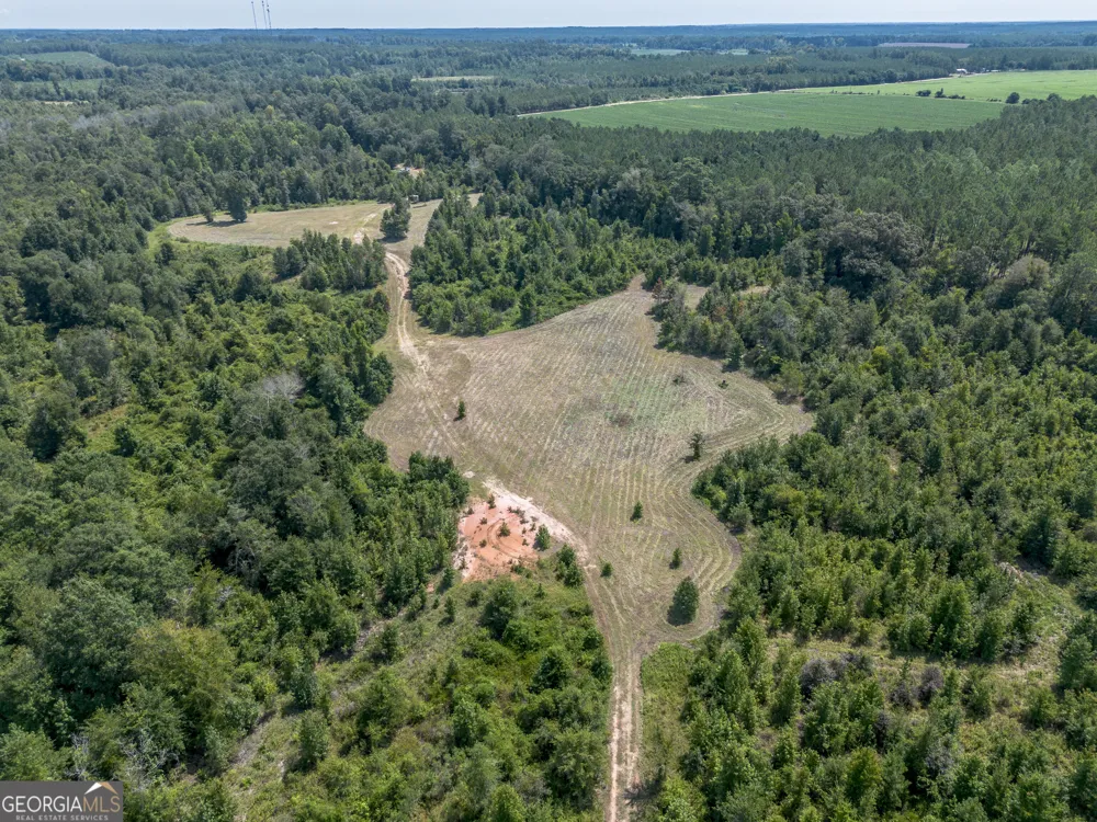 0 Nicholson-Carr RD Chester, GA 31012