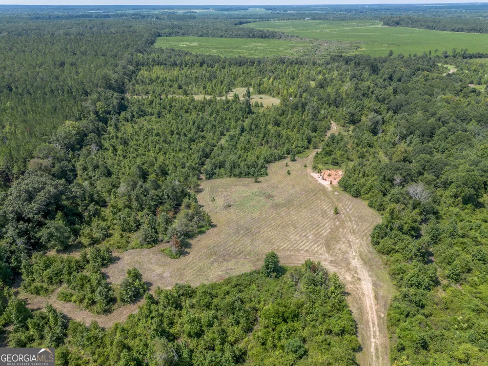 0 Nicholson-Carr RD Chester, GA 31012