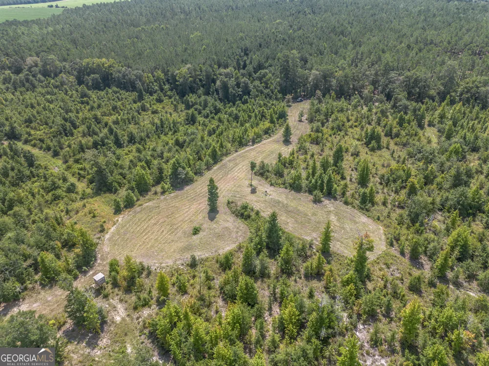 0 Nicholson-Carr RD Chester, GA 31012