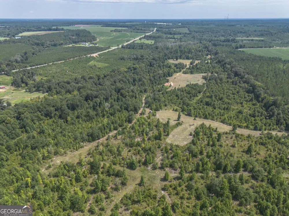 0 Nicholson-Carr RD Chester, GA 31012
