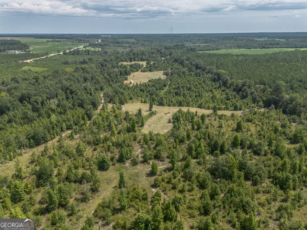 0 Nicholson-Carr RD Chester, GA 31012
