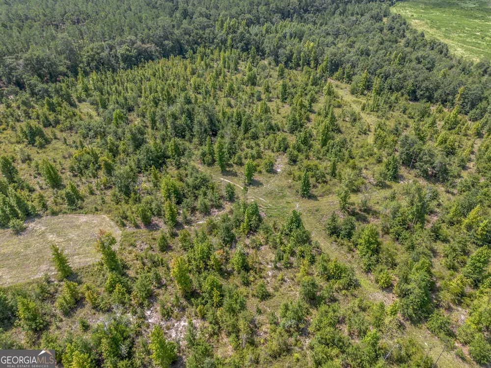 0 Nicholson-Carr RD Chester, GA 31012