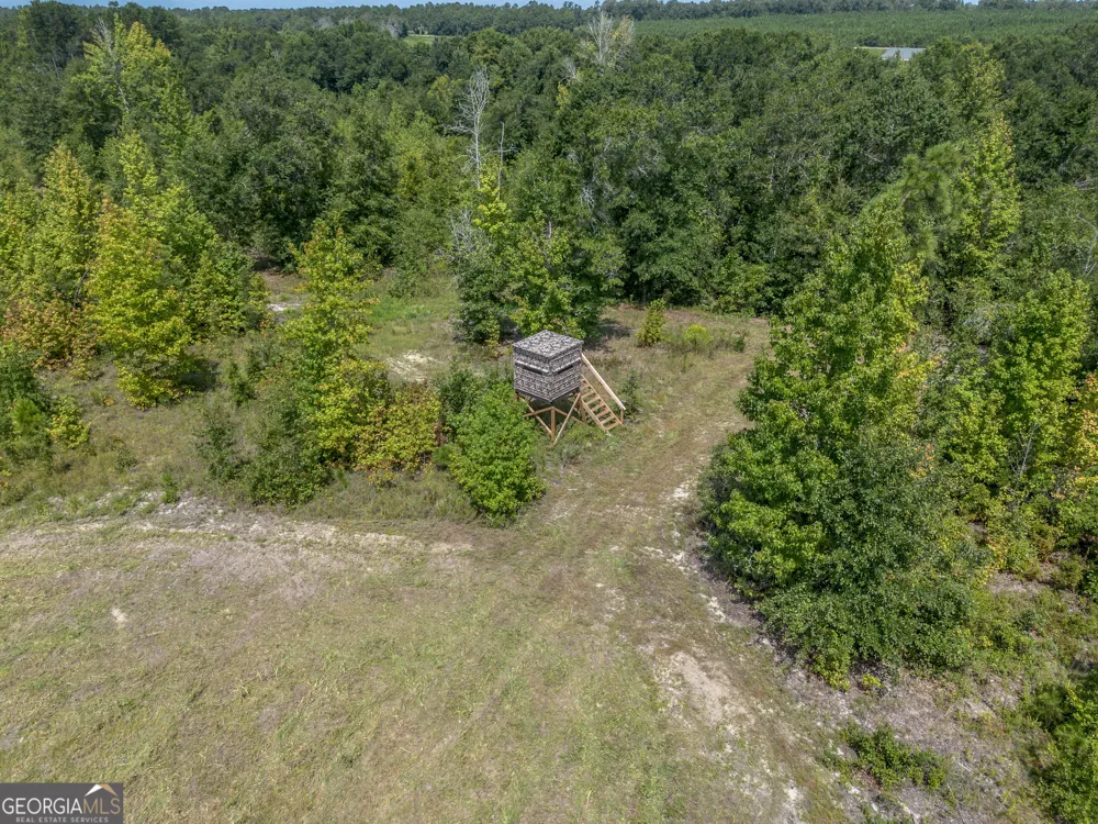0 Nicholson-Carr RD Chester, GA 31012