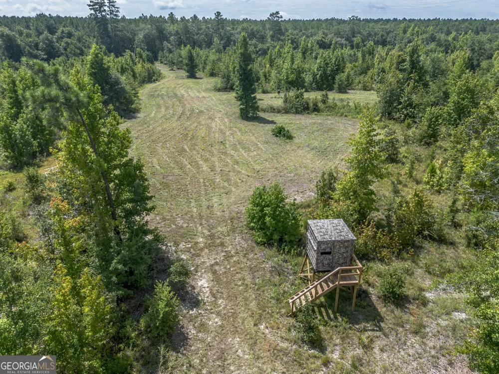 0 Nicholson-Carr RD Chester, GA 31012