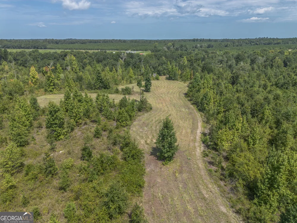 0 Nicholson-Carr RD Chester, GA 31012