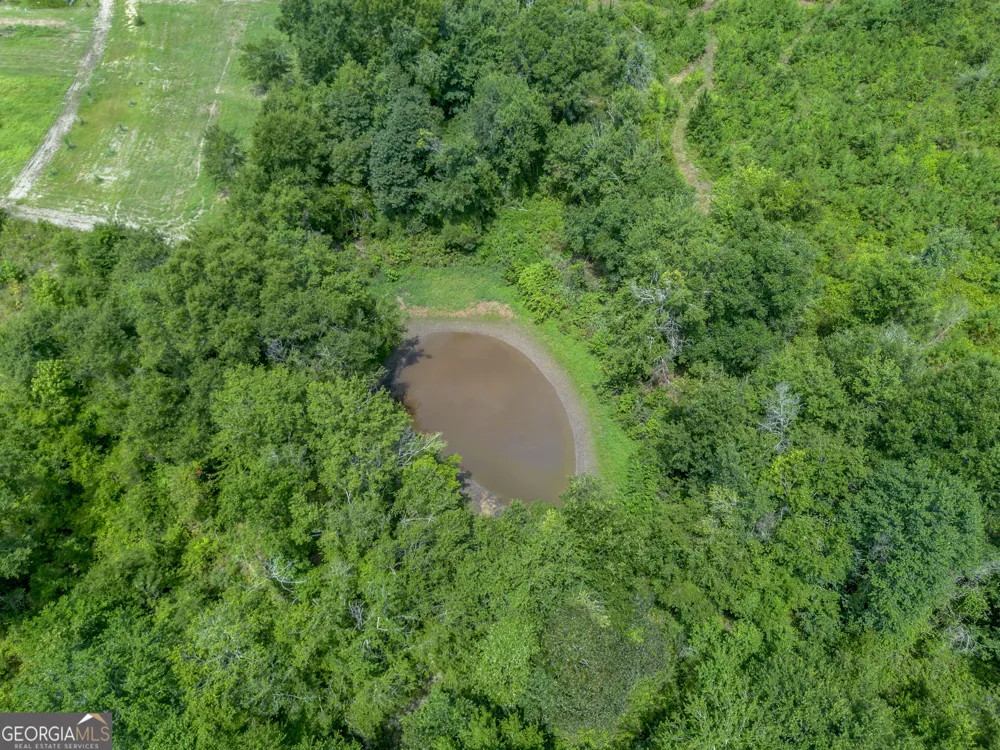 0 Nicholson-Carr RD Chester, GA 31012