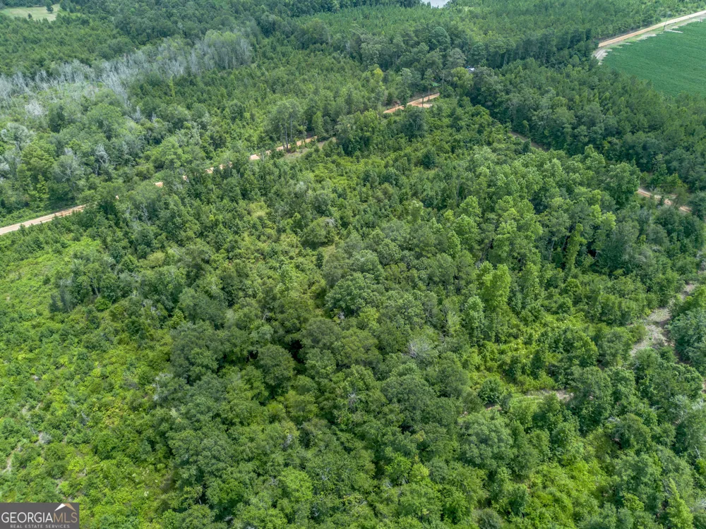 0 Nicholson-Carr RD Chester, GA 31012